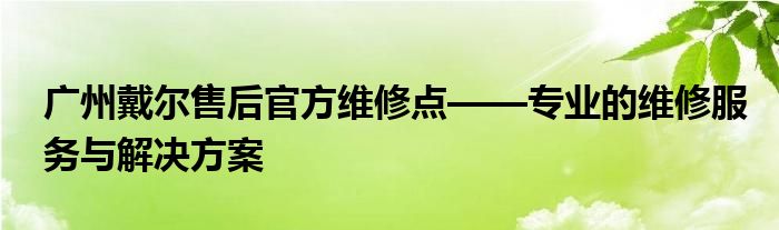 广州戴尔售后官方维修点——专业的维修服务与解决方案