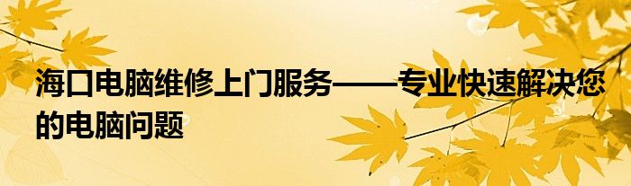 海口电脑维修上门服务——专业快速解决您的电脑问题