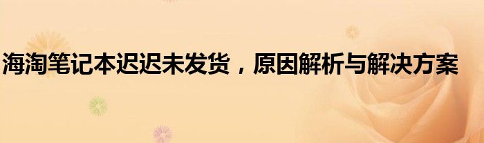 海淘笔记本迟迟未发货，原因解析与解决方案