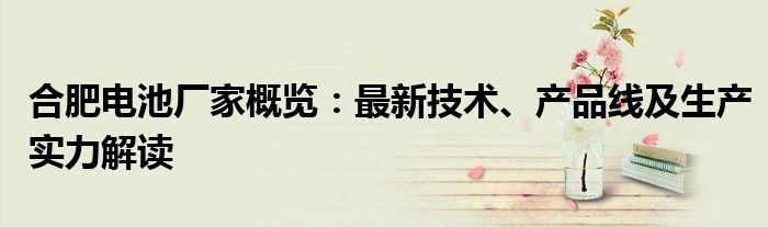 合肥电池厂家概览：最新技术、产品线及生产实力解读