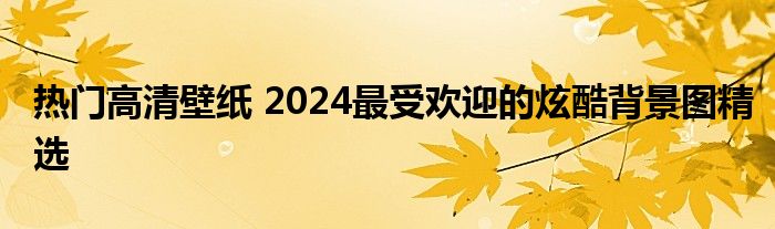 热门高清壁纸 2024最受欢迎的炫酷背景图精选