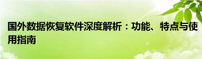 国外数据恢复软件深度解析：功能、特点与使用指南