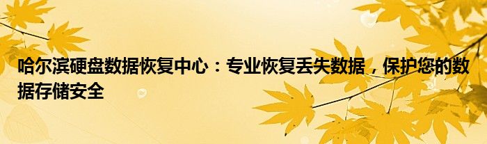 哈尔滨硬盘数据恢复中心：专业恢复丢失数据，保护您的数据存储安全