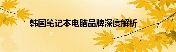 韩国笔记本电脑品牌深度解析