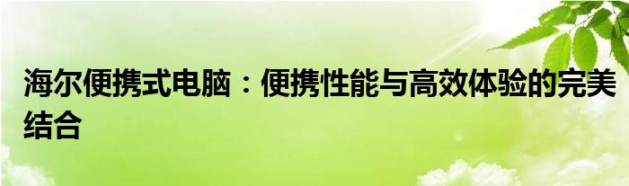 海尔便携式电脑：便携性能与高效体验的完美结合