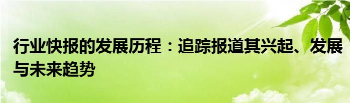 行业快报的发展历程：追踪报道其兴起、发展与未来趋势