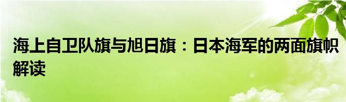 海上自卫队旗与旭日旗：日本海军的两面旗帜解读