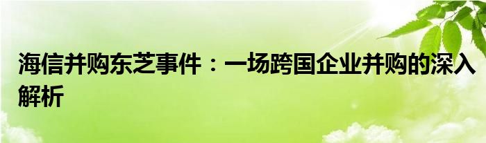 海信并购东芝事件：一场跨国企业并购的深入解析