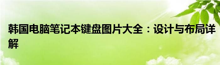 韩国电脑笔记本键盘图片大全：设计与布局详解