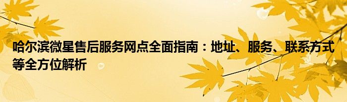 哈尔滨微星售后服务网点全面指南：地址、服务、联系方式等全方位解析