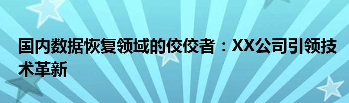 国内数据恢复领域的佼佼者：XX公司引领技术革新