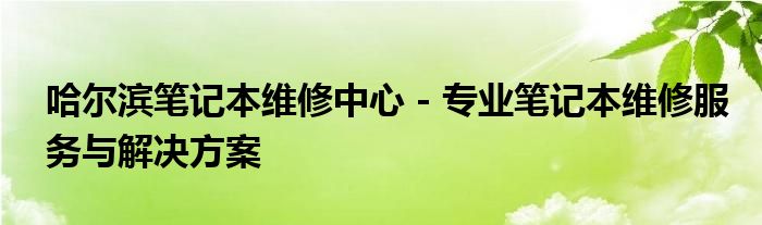 哈尔滨笔记本维修中心 - 专业笔记本维修服务与解决方案