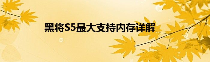 黑将S5最大支持内存详解