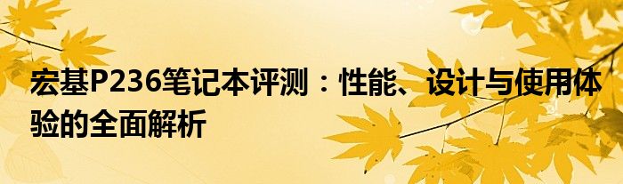 宏基P236笔记本评测：性能、设计与使用体验的全面解析