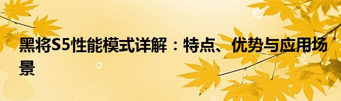 黑将S5性能模式详解：特点、优势与应用场景