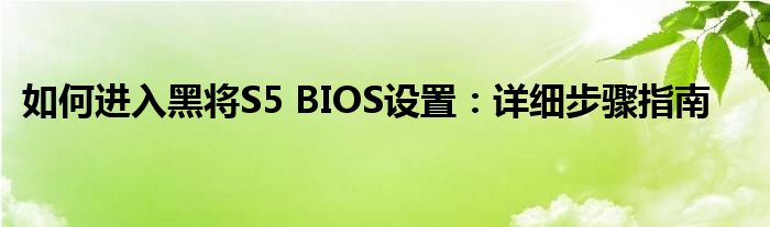 如何进入黑将S5 BIOS设置：详细步骤指南