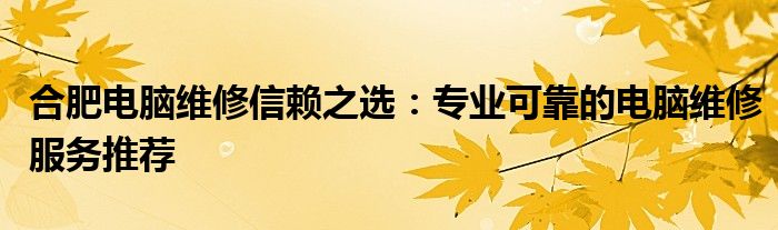 合肥电脑维修信赖之选：专业可靠的电脑维修服务推荐