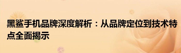 黑鲨手机品牌深度解析：从品牌定位到技术特点全面揭示