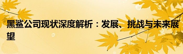 黑鲨公司现状深度解析：发展、挑战与未来展望