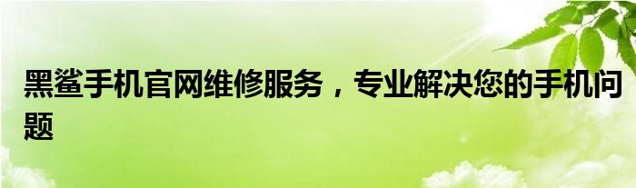 黑鲨手机官网维修服务，专业解决您的手机问题