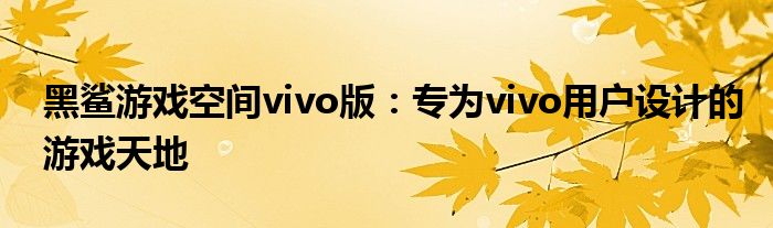 黑鲨游戏空间vivo版：专为vivo用户设计的游戏天地