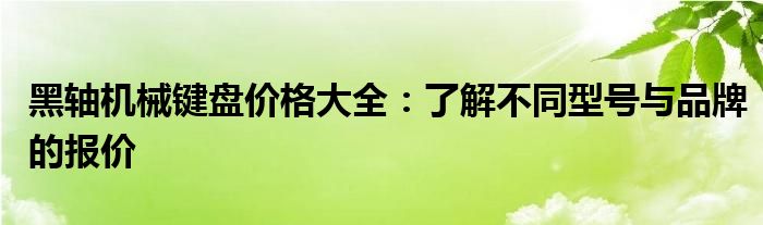 黑轴机械键盘价格大全：了解不同型号与品牌的报价