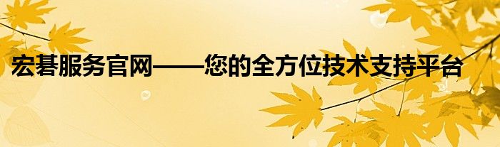 宏碁服务官网——您的全方位技术支持平台