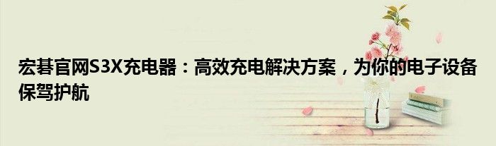 宏碁官网S3X充电器：高效充电解决方案，为你的电子设备保驾护航