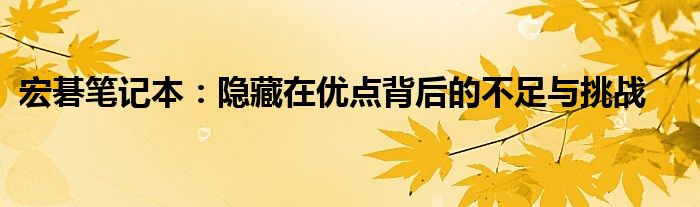 宏碁笔记本：隐藏在优点背后的不足与挑战