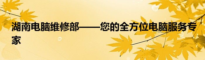 湖南电脑维修部——您的全方位电脑服务专家