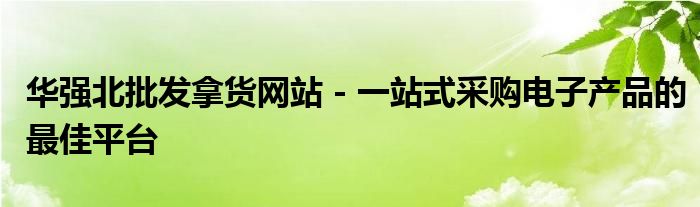 华强北批发拿货网站 - 一站式采购电子产品的最佳平台