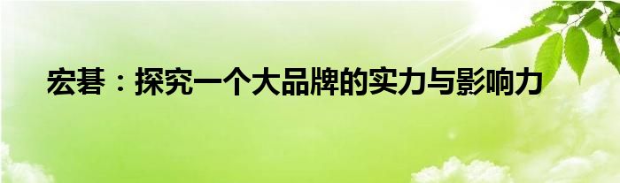 宏碁：探究一个大品牌的实力与影响力