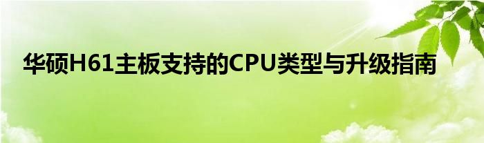 华硕H61主板支持的CPU类型与升级指南