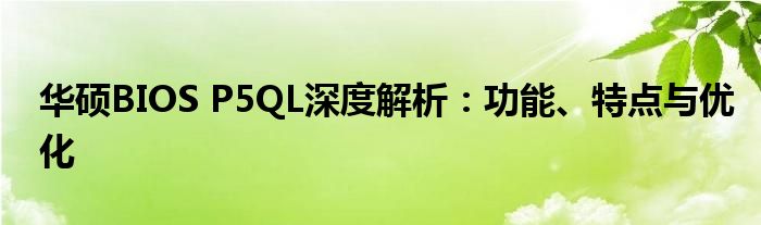 华硕BIOS P5QL深度解析：功能、特点与优化