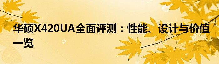 华硕X420UA全面评测：性能、设计与价值一览