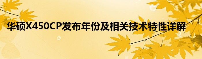 华硕X450CP发布年份及相关技术特性详解