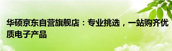 华硕京东自营旗舰店：专业挑选，一站购齐优质电子产品