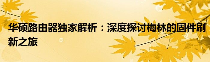 华硕路由器独家解析：深度探讨梅林的固件刷新之旅