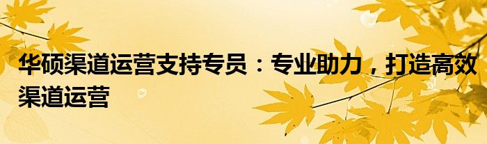 华硕渠道运营支持专员：专业助力，打造高效渠道运营