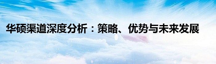 华硕渠道深度分析：策略、优势与未来发展