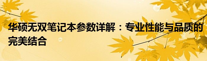 华硕无双笔记本参数详解：专业性能与品质的完美结合