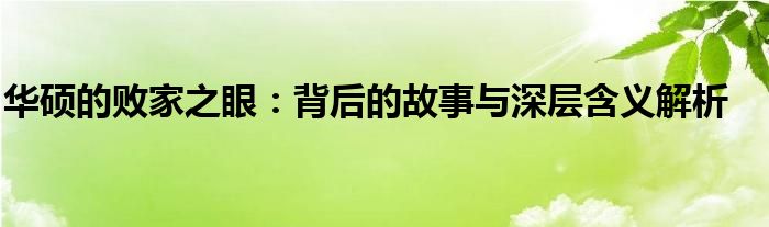 华硕的败家之眼：背后的故事与深层含义解析